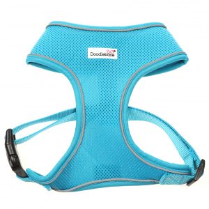 Doodlebone® Originals Airmesh Dog Harness - Aqua