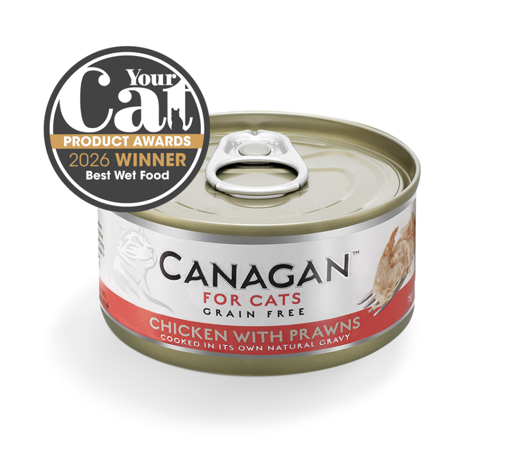 Canagan Chicken With Prawns Wet Cat Food