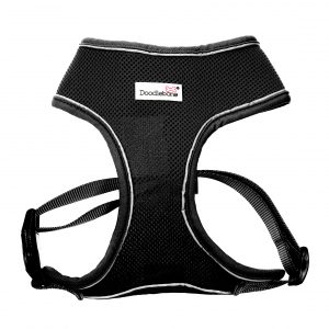 Doodlebone® Originals Airmesh Dog Harness - Coal