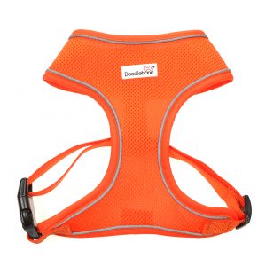 Doodlebone® Originals Airmesh Dog Harness - Tangerine